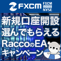 FXCM口座開設タイアップキャンペーン「ForexWhiteBearV1EX & ForexWhiteBearV1」